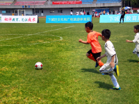 尼克斯直播_尼克斯免费高清直播_CCTV5在线直播世界杯